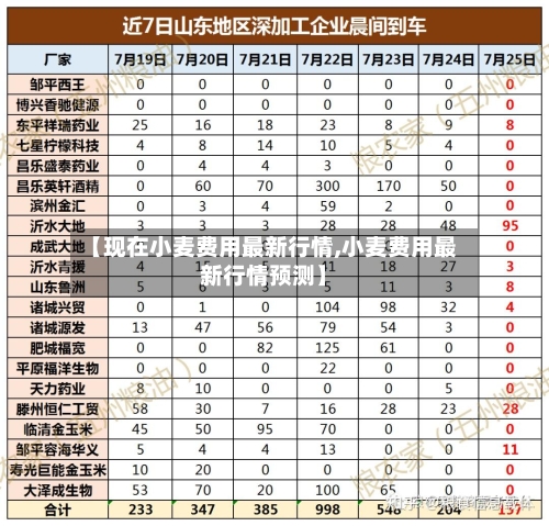 【现在小麦费用最新行情,小麦费用最新行情预测】-第2张图片