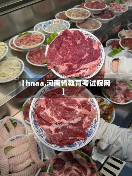 【hnaa,河南省教育考试院网】