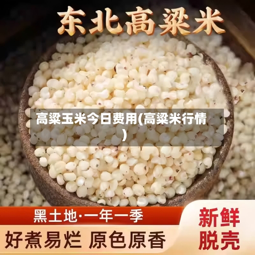 高粱玉米今日费用(高粱米行情)