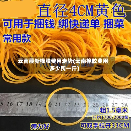 云南最新橡胶费用走势(云南橡胶费用多少钱一斤)