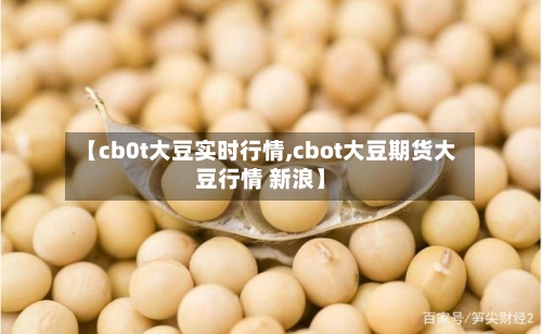 【cb0t大豆实时行情,cbot大豆期货大豆行情 新浪】-第3张图片