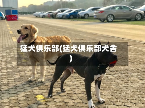 猛犬俱乐部(猛犬俱乐部犬舍)