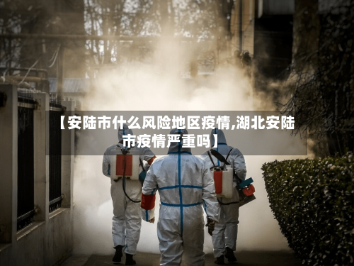 【安陆市什么风险地区疫情,湖北安陆市疫情严重吗】