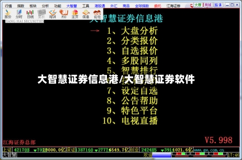 大智慧证券信息港/大智慧证券软件
