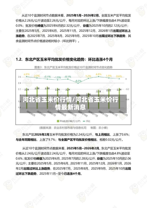 河北省玉米价行情/河北省玉米价行情最新消息