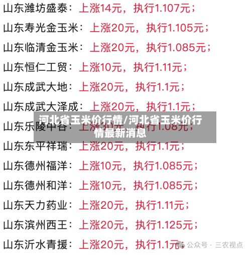 河北省玉米价行情/河北省玉米价行情最新消息-第3张图片