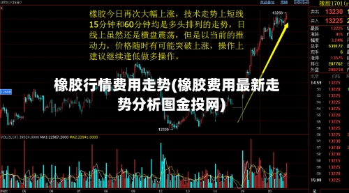 橡胶行情费用走势(橡胶费用最新走势分析图金投网)-第2张图片
