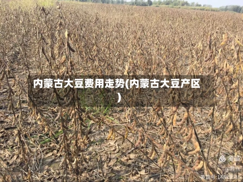 内蒙古大豆费用走势(内蒙古大豆产区)