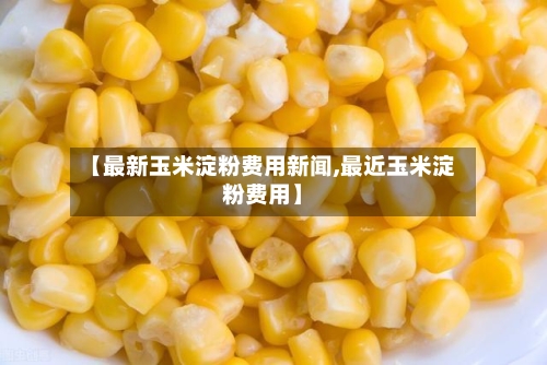 【最新玉米淀粉费用新闻,最近玉米淀粉费用】
