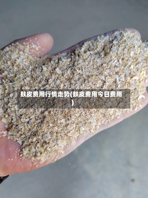 麸皮费用行情走势(麸皮费用今日费用)