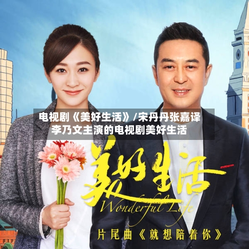 电视剧《美好生活》/宋丹丹张嘉译李乃文主演的电视剧美好生活