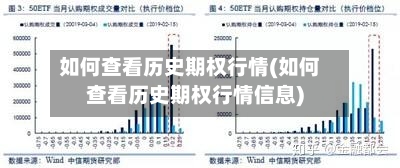 如何查看历史期权行情(如何查看历史期权行情信息)