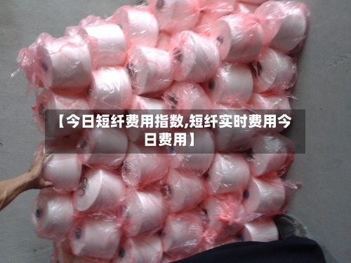 【今日短纤费用指数,短纤实时费用今日费用】