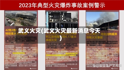 武义火灾(武义火灾最新消息今天)-第2张图片