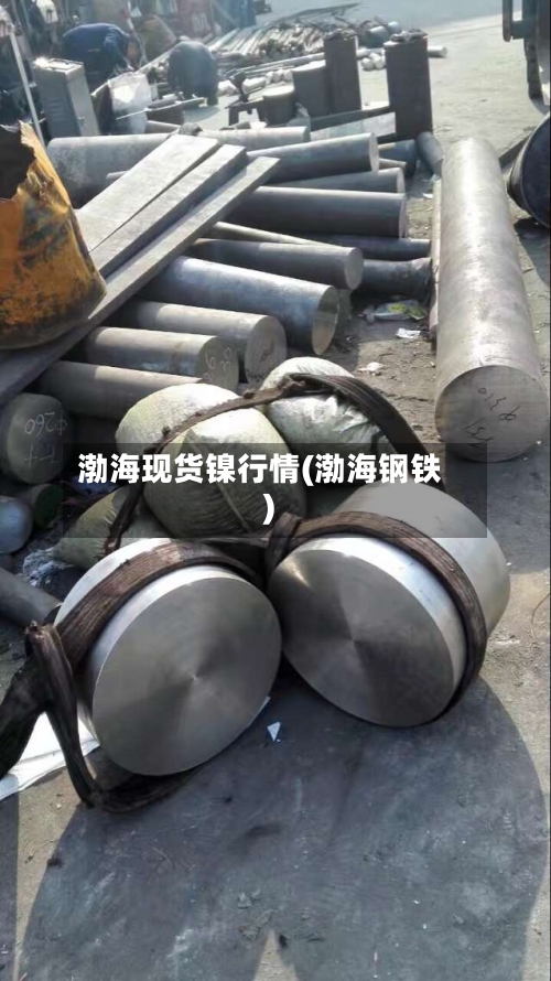 渤海现货镍行情(渤海钢铁)-第2张图片