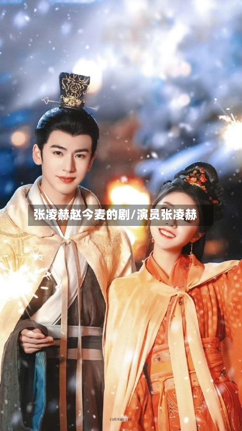 张凌赫赵今麦的剧/演员张凌赫