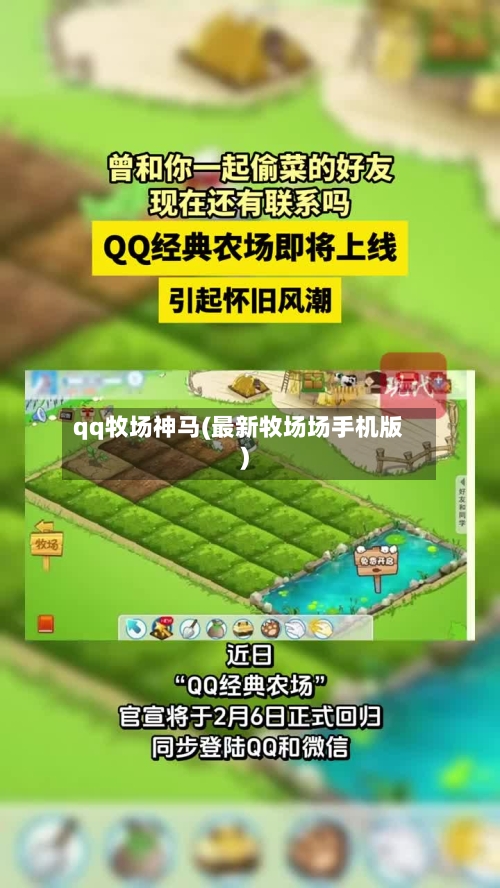qq牧场神马(最新牧场场手机版)-第2张图片