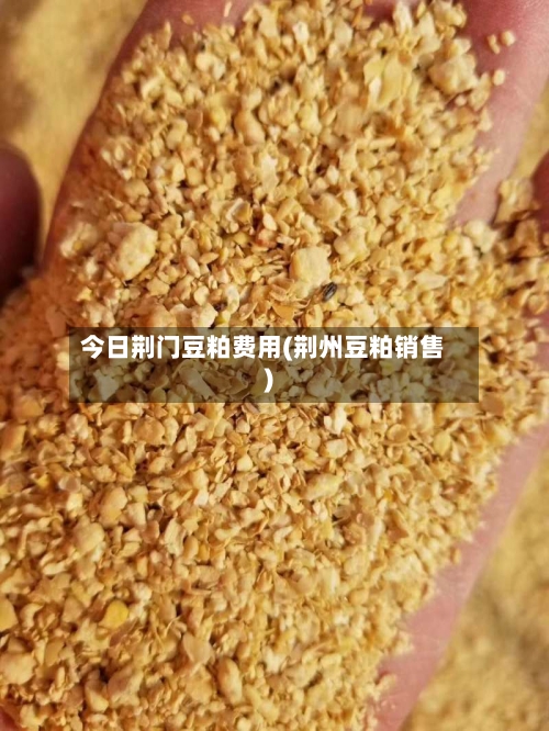 今日荆门豆粕费用(荆州豆粕销售)