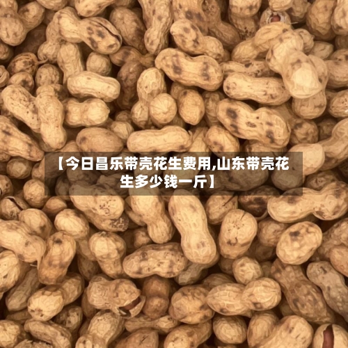 【今日昌乐带壳花生费用,山东带壳花生多少钱一斤】