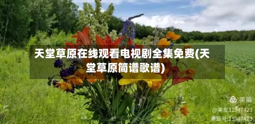 天堂草原在线观看电视剧全集免费(天堂草原简谱歌谱)-第2张图片