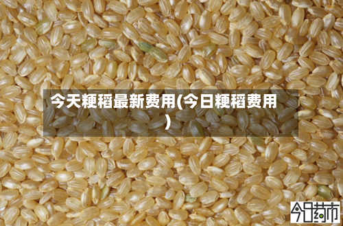 今天粳稻最新费用(今日粳稻费用)-第3张图片