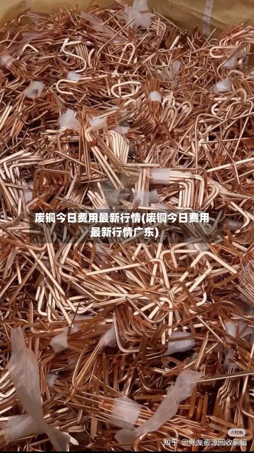 废铜今日费用最新行情(废铜今日费用最新行情广东)-第2张图片