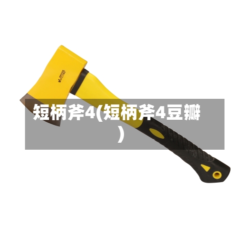 短柄斧4(短柄斧4豆瓣)-第2张图片