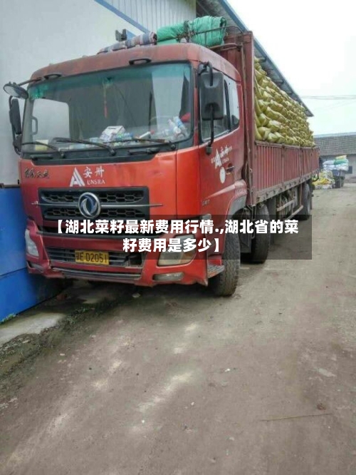 【湖北菜籽最新费用行情.,湖北省的菜籽费用是多少】