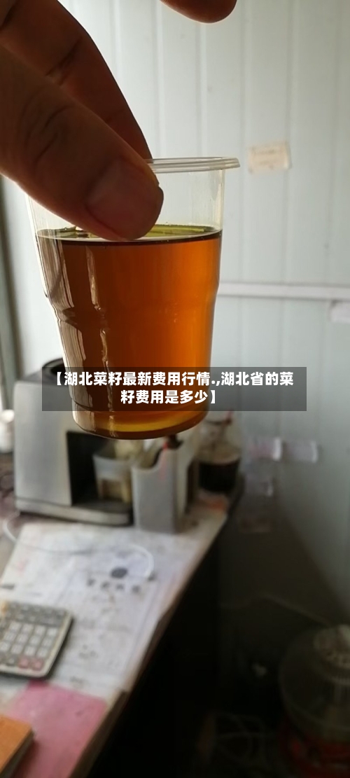 【湖北菜籽最新费用行情.,湖北省的菜籽费用是多少】-第3张图片