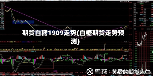 期货白糖1909走势(白糖期货走势预测)