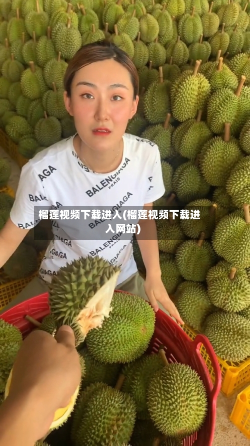 榴莲视频下载进入(榴莲视频下载进入网站)