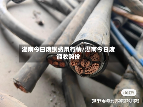 湖南今曰废铜费用行情/湖南今日废铜收购价