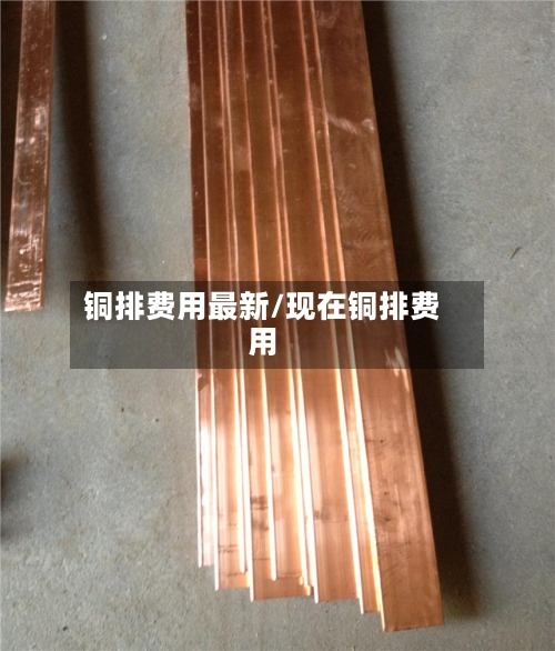 铜排费用最新/现在铜排费用