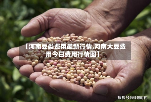 【河南豆类费用最新行情,河南大豆费用今日费用行情图】