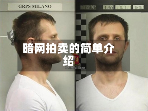 暗网拍卖的简单介绍-第3张图片