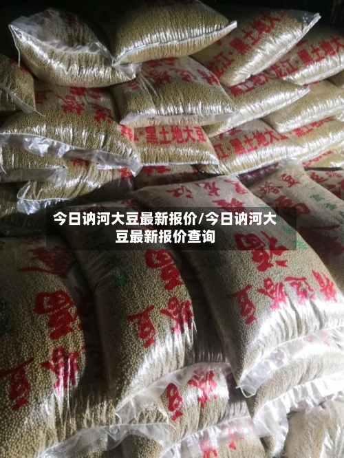 今日讷河大豆最新报价/今日讷河大豆最新报价查询-第2张图片