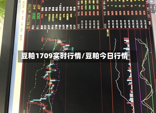 豆粕1709实时行情/豆粕今日行情