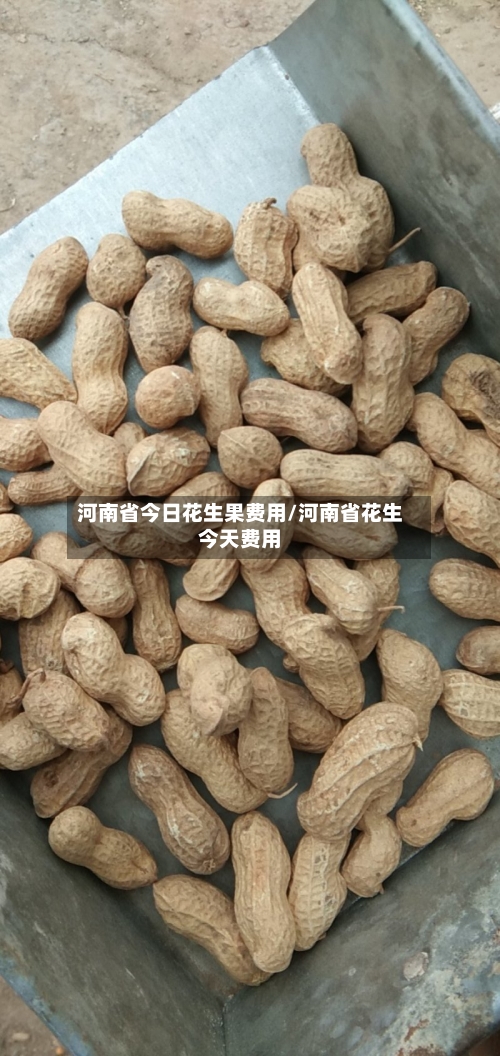 河南省今日花生果费用/河南省花生今天费用