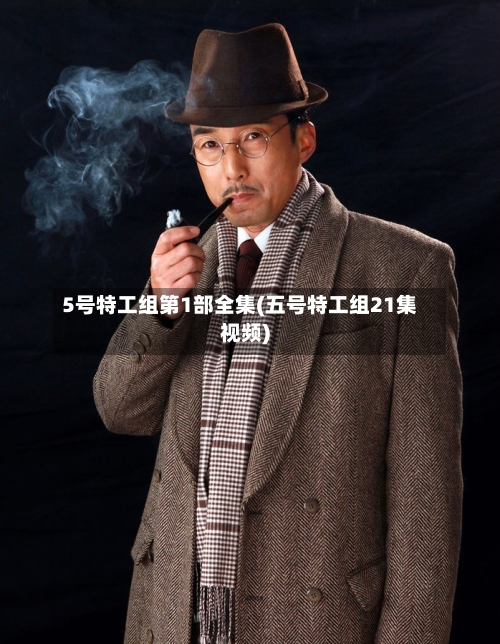 5号特工组第1部全集(五号特工组21集视频)