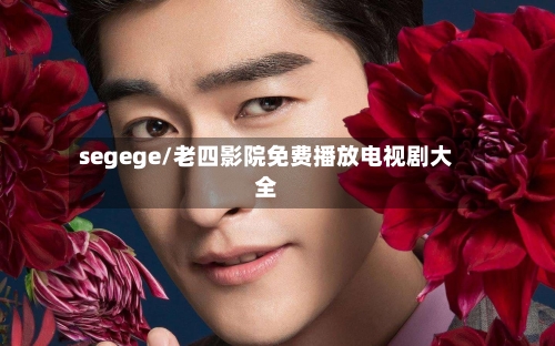 segege/老四影院免费播放电视剧大全-第2张图片